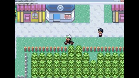 pokemon emerald 5th gym